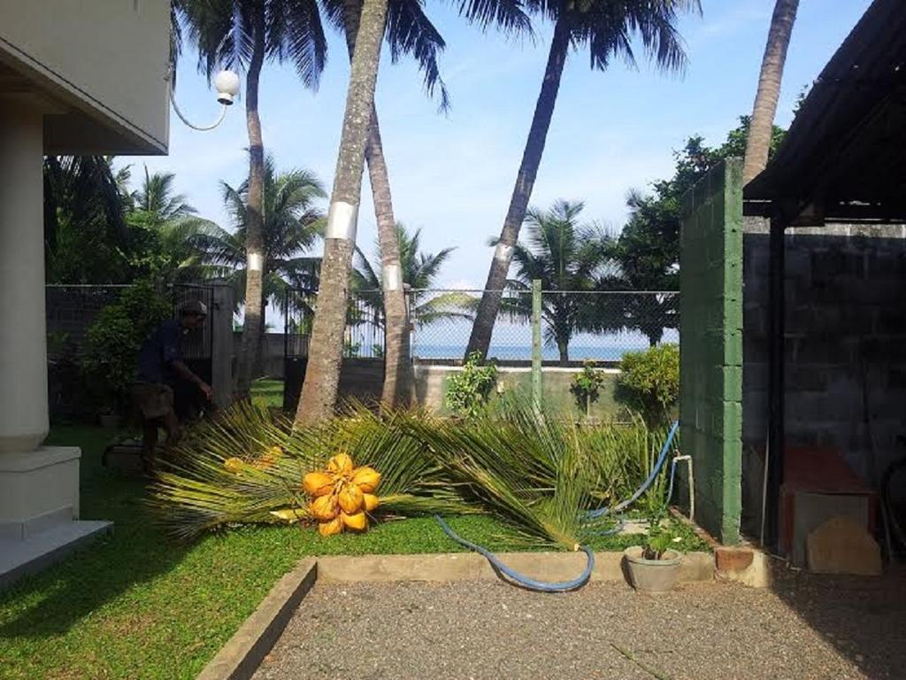 Janishi Residencies Hotel Negombo Ngoại thất bức ảnh