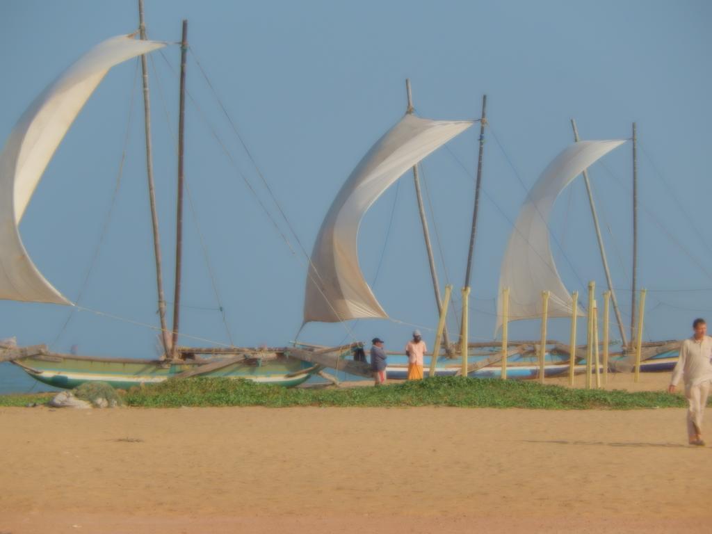 Janishi Residencies Hotel Negombo Ngoại thất bức ảnh